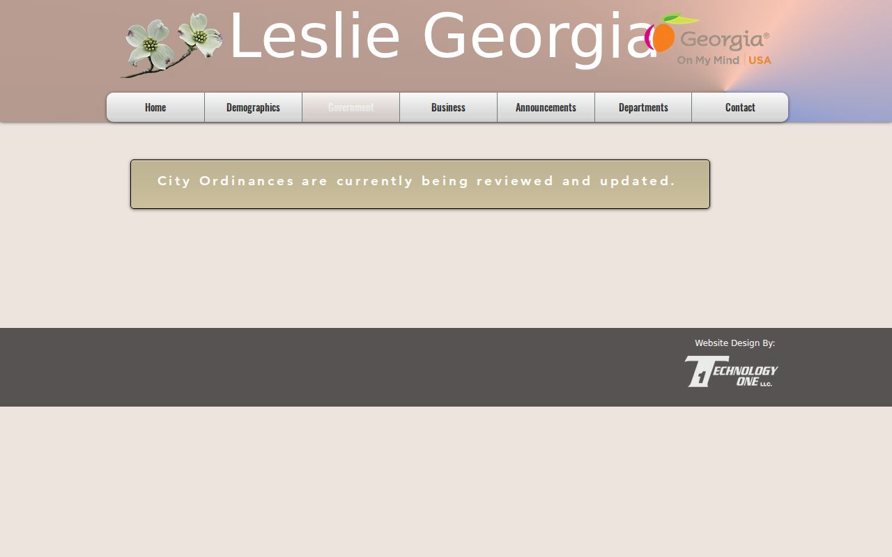Leslie criminal records city ordinance and court code