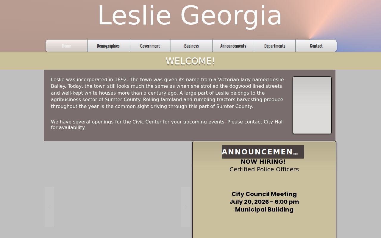 Leslie criminal history city government homepage